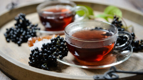 tisane sureau noir fruits infusion tasse de thé