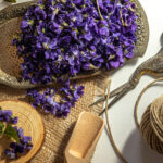 tisane violette fleurs séchées infusion