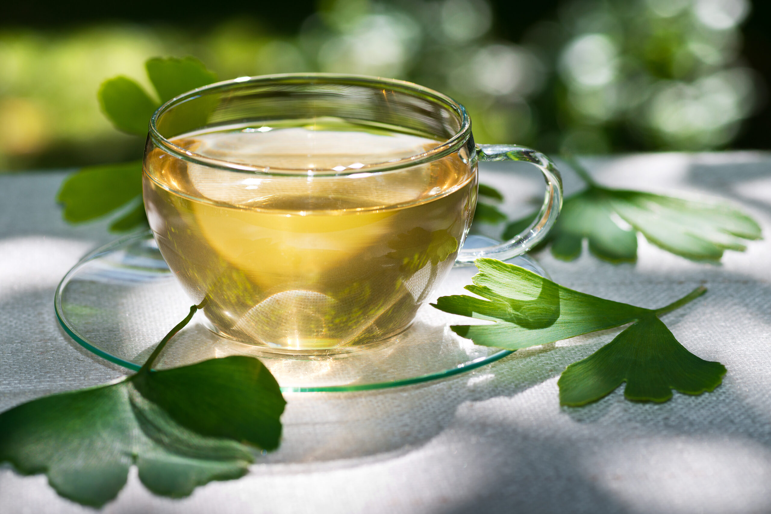 tisane de ginkgo biloba infusion tasse de thé