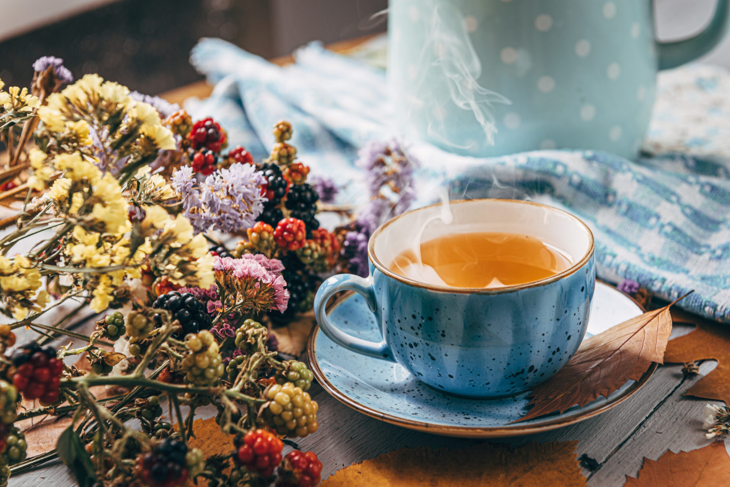 tisane harpagophytum griffe du diable tasse de thé infusion