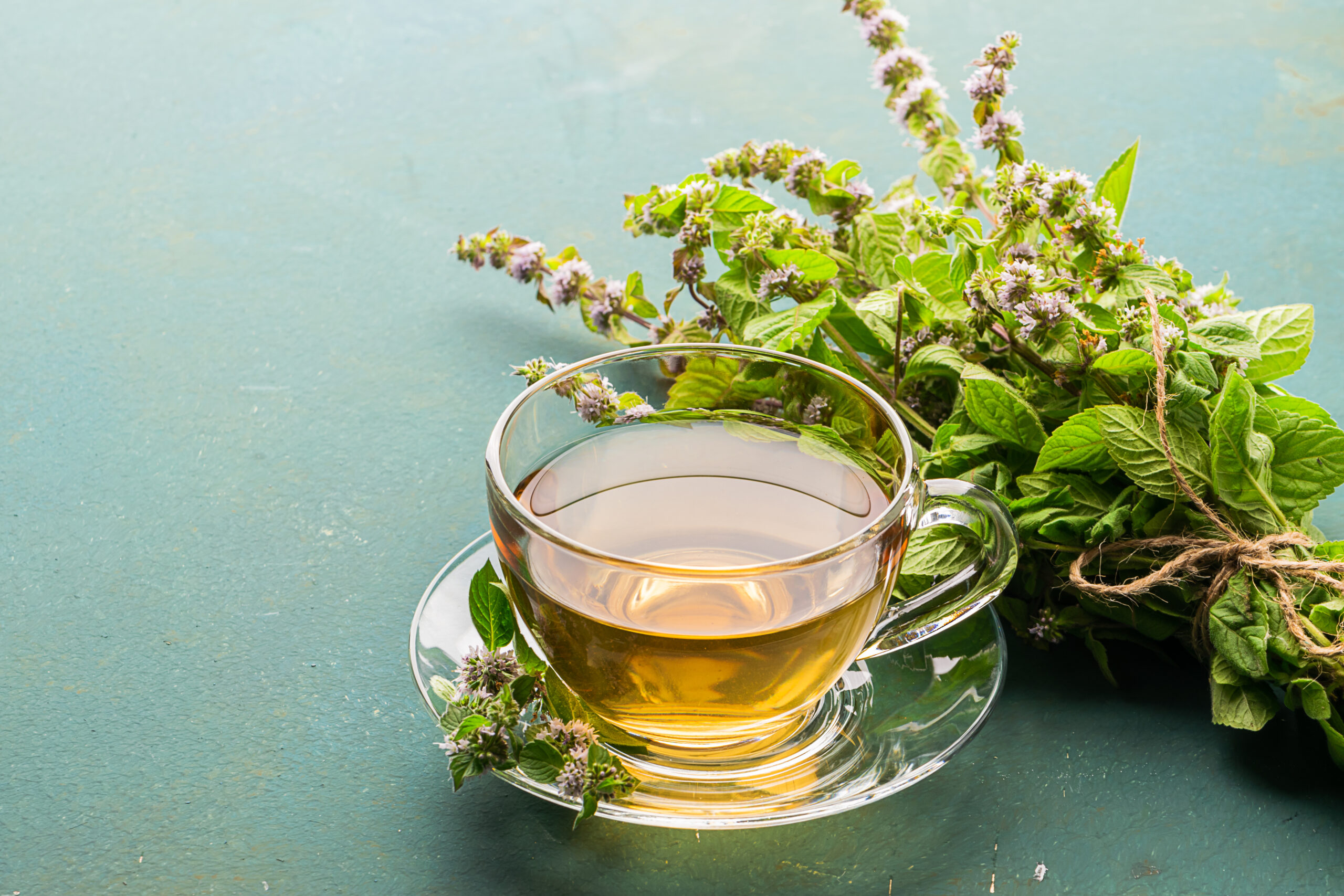tisane mélisse infusion plantes tasse de thé