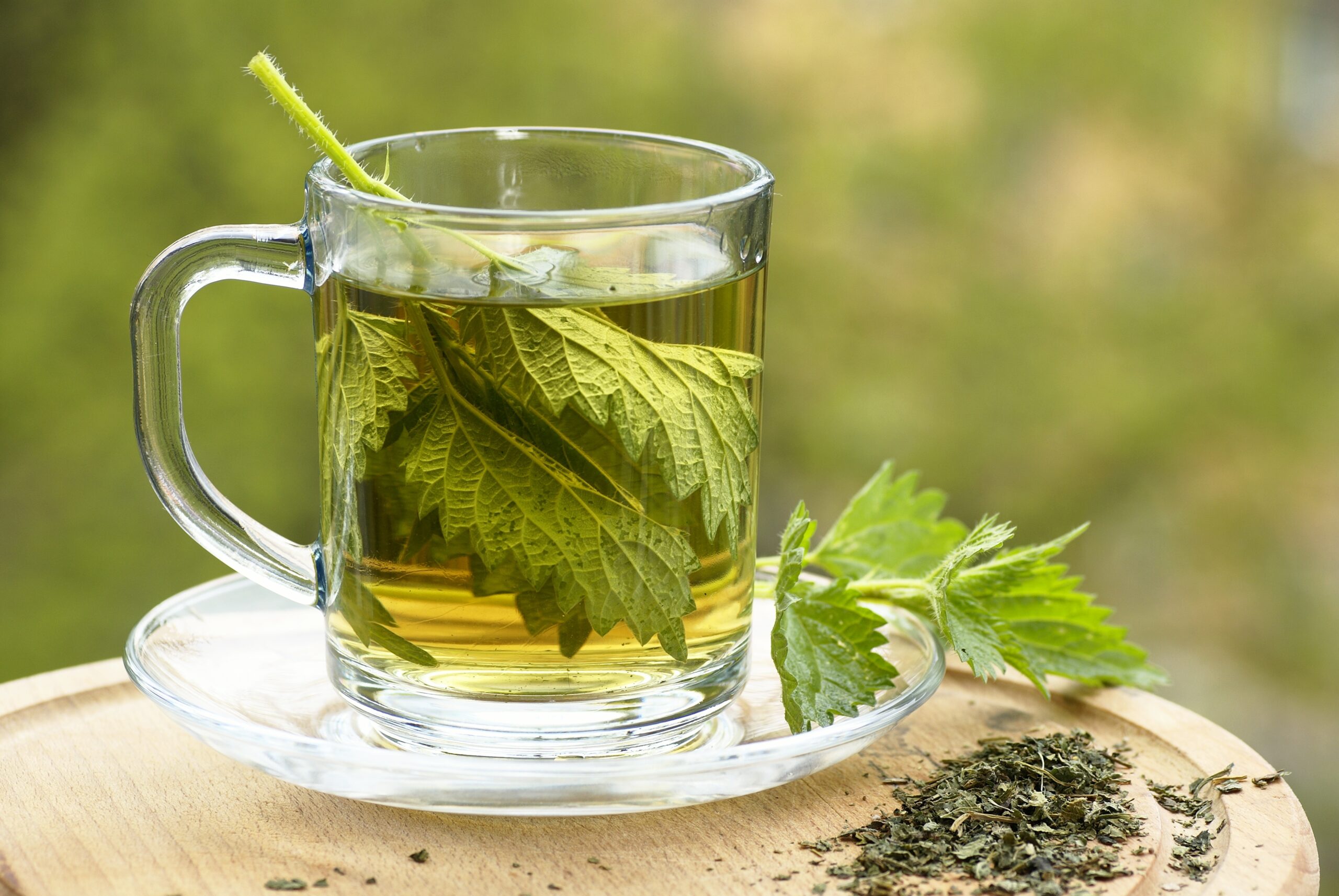 Tisane à l'ortie : une infusion aux bienfaits santé