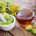 tisane houblon infusion tasse de thé