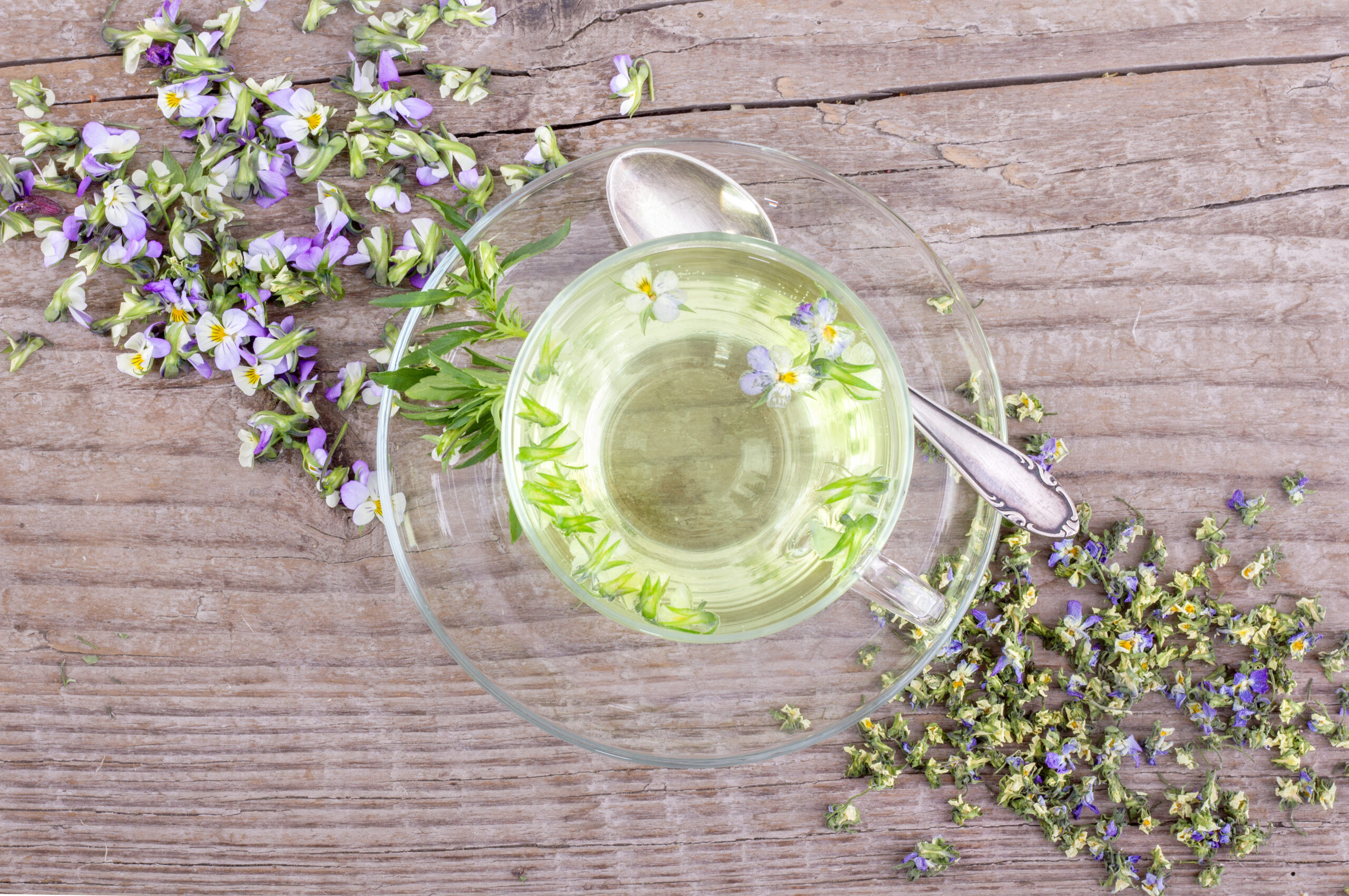 tisane pensée sauvage fleurs infusion tasse de thé