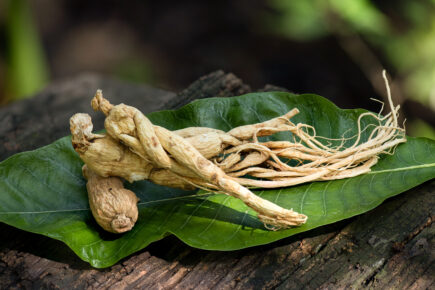 ginseng