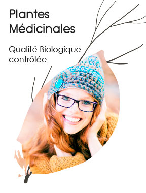 Tisanes et Plantes médicinales, qualité biologique contrôlée