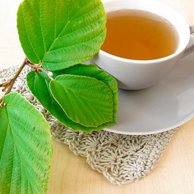 Hamamélis Séché En Vrac 25g-200g - Plante Médicinale Virginiana Pour Infusions - YouHerbIt