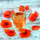 Les vertus et bienfaits du coquelicot - Papaver rhoeas