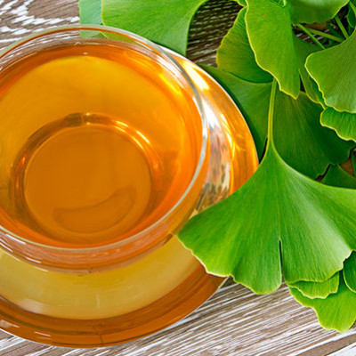 Ginkgo biloba : Bienfaits, utilisations et effets secondaires