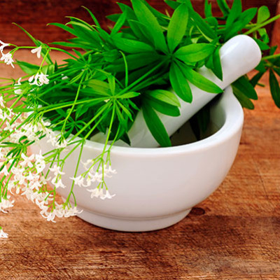 Les vertus et bienfaits de l’Aspérule odorante - Galium odoratum ou asperula odo