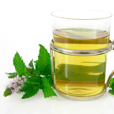 Les vertus et bienfaits de la Menthe poivrée - Mentha x piperita
