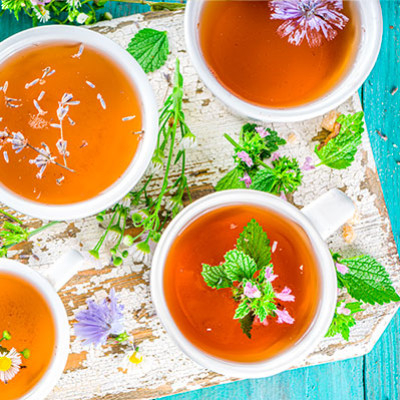 Tisane - Un guide complet des tisanes de leurs bienfaits et utilisations