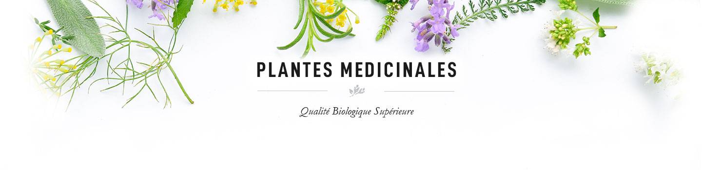 Les plantes médicinales Bio de l'Herboriste